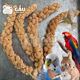 Kê chùm cho Hamster / Vẹt / Sóc