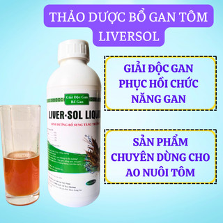 Bổ Gan Tôm–Phục Hồi Gan Tôm Liversol Liquid- giải độc kháng sinh phục hồi chức năng gan