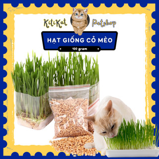 Hạt giống cỏ mèo tươi, Cỏ lúa mạch cho mèo giúp hỗ trợ tiêu búi lông, cung cấp chất xơ, giảm hôi miệng
