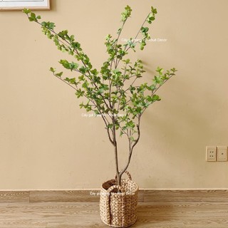 Cây Thạch Nam Giả Cao 1m6 - Thân cây lõi thép xịn- Hàng Cao Cấp