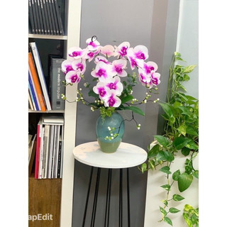 [cắm sẵn] chậu lan hồ điệp giả chất liệu cao su cao cấp, phù hợp trang trí mọi không gian nội thất, quà tặng, decor….