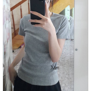 ÁO THUN BABYTEE TRƠN FORM BODY 40~50kg )