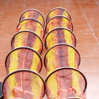 Rọng giỏ đựng cá Daiwa catbon siêu bền