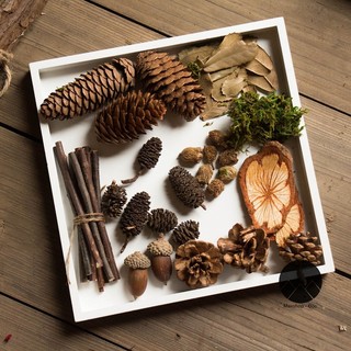 Set đồ khô decor 9 món phụ kiện trang trí noel chụp ảnh sản phẩm thiên nhiên vintage, set quả khô tự nhiên giáng sinh