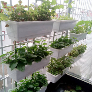 Móc treo chậu trồng cây, kệ trồng rau 3 tầng trên ban công chuồng cọp - 4 kệ