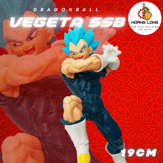 Mô hình Dragonball, Vegeta Super Saiyan Blue 19cm, figure SSB 7 Viên Ngọc Rồng, trang trí bàn học (phụ kiện Hoàng Long)
