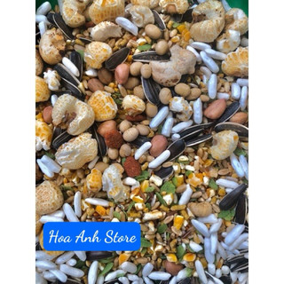 Thức ăn trộn cơ bản cho chuột Hamster, Sóc...