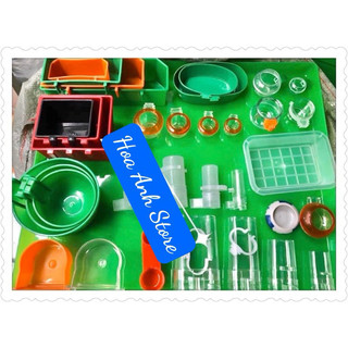 Chén Đựng Sâu Cho Chim Chích Choè