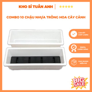   Combo 10 chậu Chậu nhựa trồng hoa trồng rau trồng cây cảnh hình chữ nhật thông minh KT 48x20x16cm Tiện Lợi 