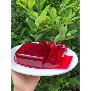 [Combo 5kg] Bột thạch trắng "sương sáo trắng"
