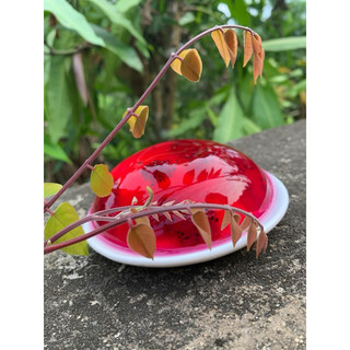[Combo 5kg] Bột thạch trắng "sương sáo trắng"