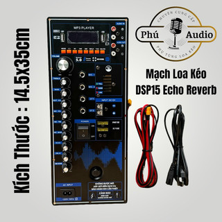 Mạch Loa Kéo DSP15 vs DSP21X Echo Reverb Mẫu Mới 2024