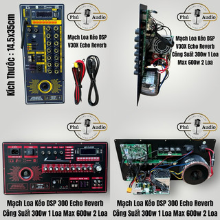 Mạch Loa Kéo DSP 300 - V30X Echo Reverb Công Suất 300~600w