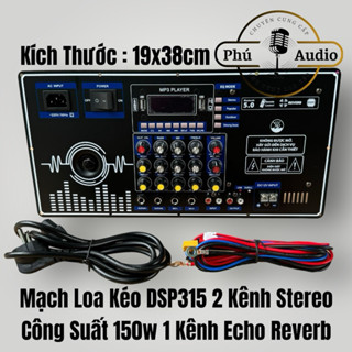 Mạch Loa Kéo DSP315 Echo Reverb 2 Kênh Stereo 150w