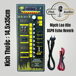 Mạch loa kéo dsp8 vs v8 công suất 80w