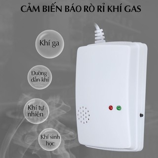 Máy báo rò rỉ khí gas V1, báo động có khí ga