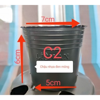 Combo 50 Chậu nhựa đen C2 trồng cây