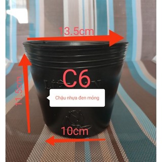 Combo 50 chậu nhựa đen C6 trồng cây