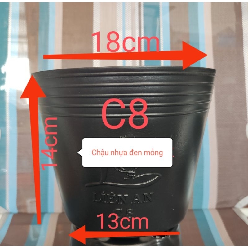 100 Chậu nhựa đen C8