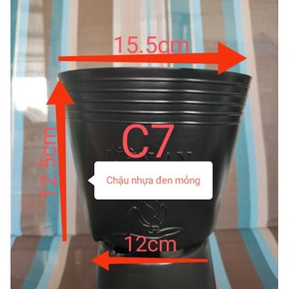 Combo 50 chậu nhựa đen C7 trồng cây