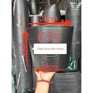 100 chậu nhựa đen c10