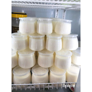 Combo 100 hủ nhựa trong sọc khía đựng sữa chua , panacotta (110ml) kèm nắp