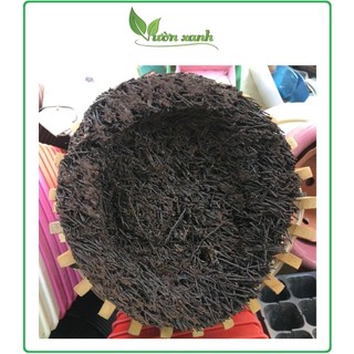 Dớn đĩa tròn ghép lan KT 20x3 cm