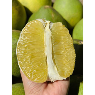 Bưởi năm roi giòn ngon mọng nước