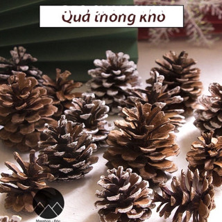 Quả thông khô decor phủ tuyết trắng phụ kiện chụp ảnh sản phẩm trang trí Phụ kiện trang trí cây thông giáng sinh