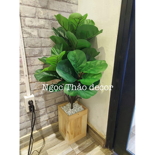 Cây bàng Singapore giả -cây hoa giả  Trang trí không gian sống, nhà cửa