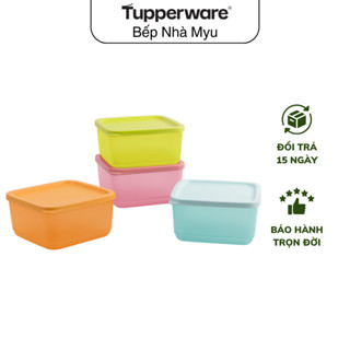 Bộ Hộp Tupperware Bảo Quản Thực Phẩm Small Square Round 650ml (4 Hộp) - Nhựa Nguyên Sinh - Kín Mùi - Kín Khí