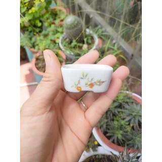 Chậu oval phủ men: size rất nhỏ