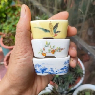 Chậu oval phủ men: size rất nhỏ