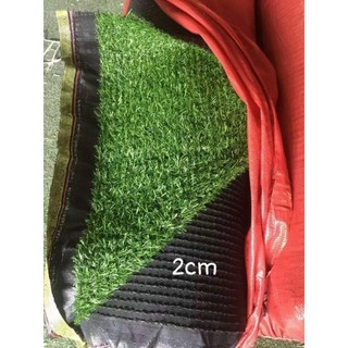Thảm cỏ nhân tạo 1mv loại 2cm