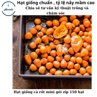 Hạt giống cà rốt tròn mini