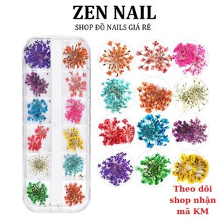 HOA KHÔ TRANG TRÍ MÓNG TAY - SET 12 MÀU HOA CHÙM ĐẮP GEL ẨN PHONG CÁCH NHẬT BẢN