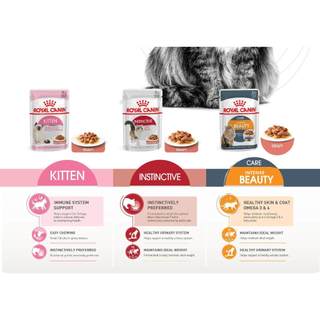 Pate ROYAL CANIN 85g