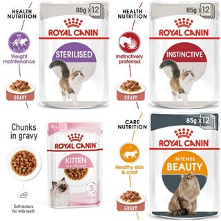 Pate ROYAL CANIN 85g
