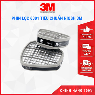 Phin lọc hơi hữu cơ 3m 6001