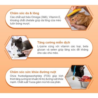 Hạt Catsrang cho mèo mọi lứa tuổi