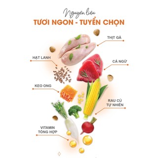 Hạt Catsrang cho mèo mọi lứa tuổi