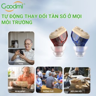 Máy trợ thính siêu nhỏ Goodmi GM-950