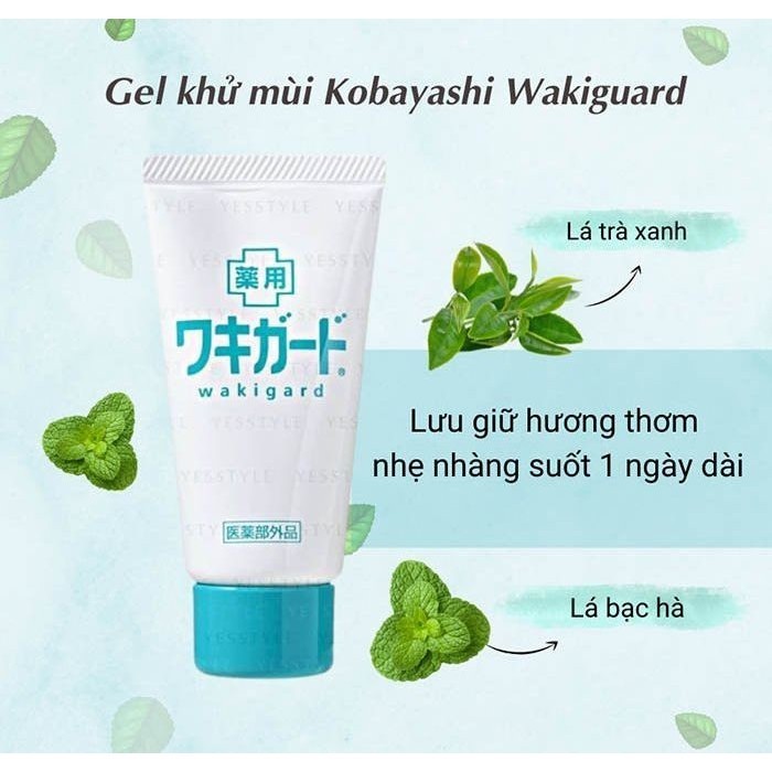 vn 11134207 7r98o lynd0wj7buld81