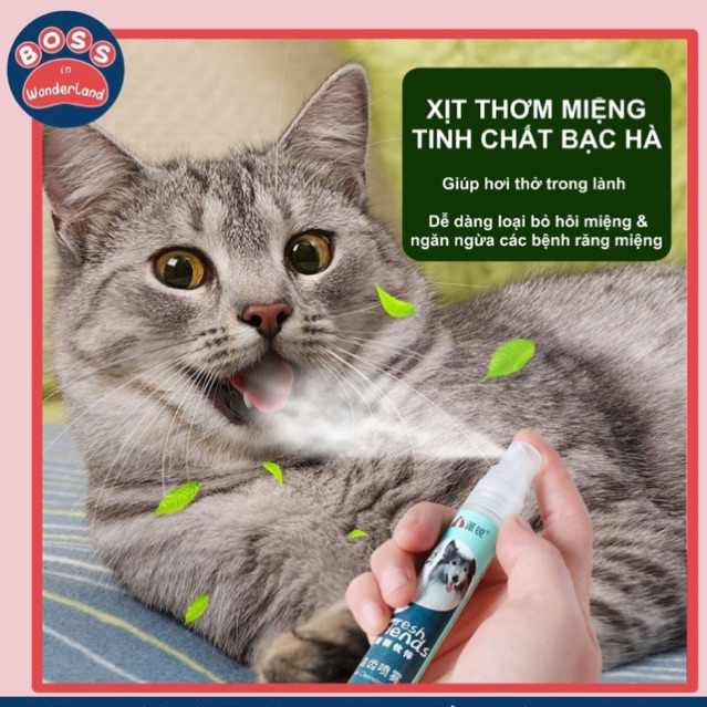 Xịt thơm miệng chó mèo Fresh Friend