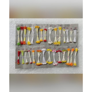 10 tép nhị bột làm hoa (bảng màu mới)