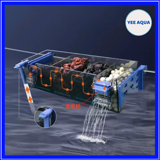 Lọc Tràn Trên Acrylic Kẹp Thành Bể Cá Cảnh Thủy Sinh - Mbio G30 G50 G60