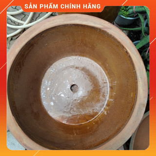 Chậu  nuôi cá, bể nuôi cá mini