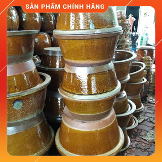 Chậu  nuôi cá, bể nuôi cá mini