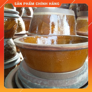 Chậu nuôi cá, bể nuôi cá mini
