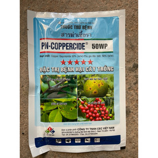 Chữa đào rỉ mủ, rỉ sắt, sương mai PN Coppercide 50WP